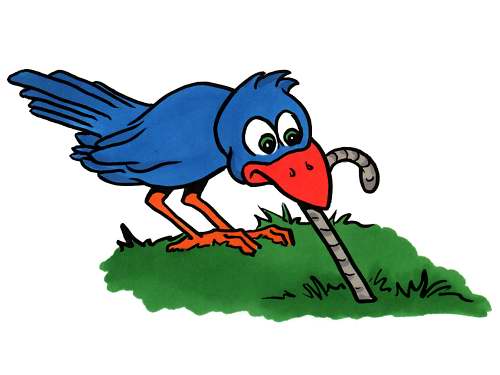 early bird
